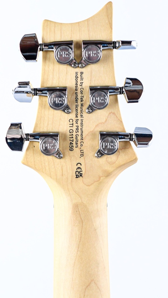 [SESA22CH] PRS SE Swamp Ash Special Charcoal-4.jpg