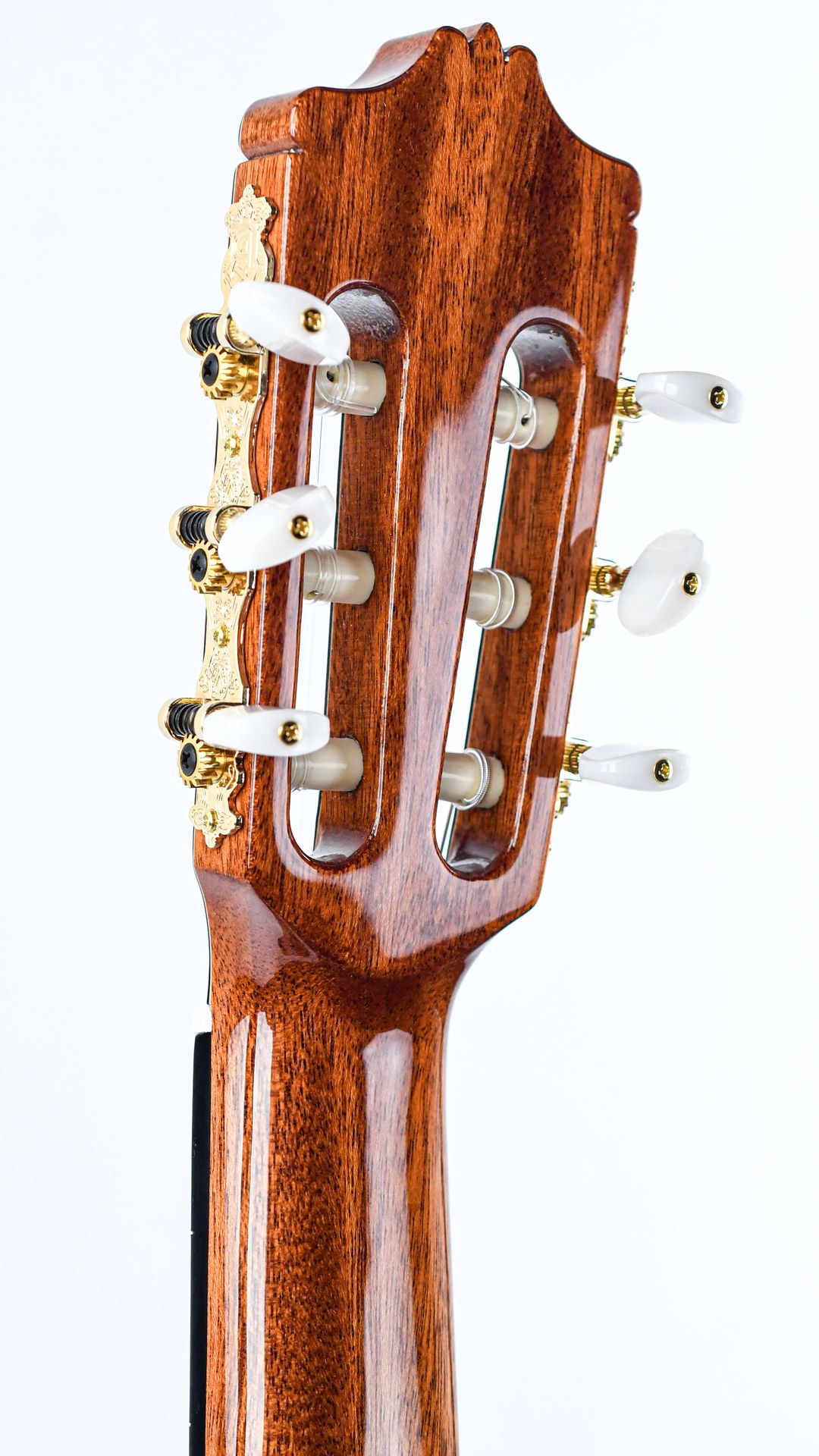 https://www.tfoa.eu/web/image/product.image/147030/image_1920/