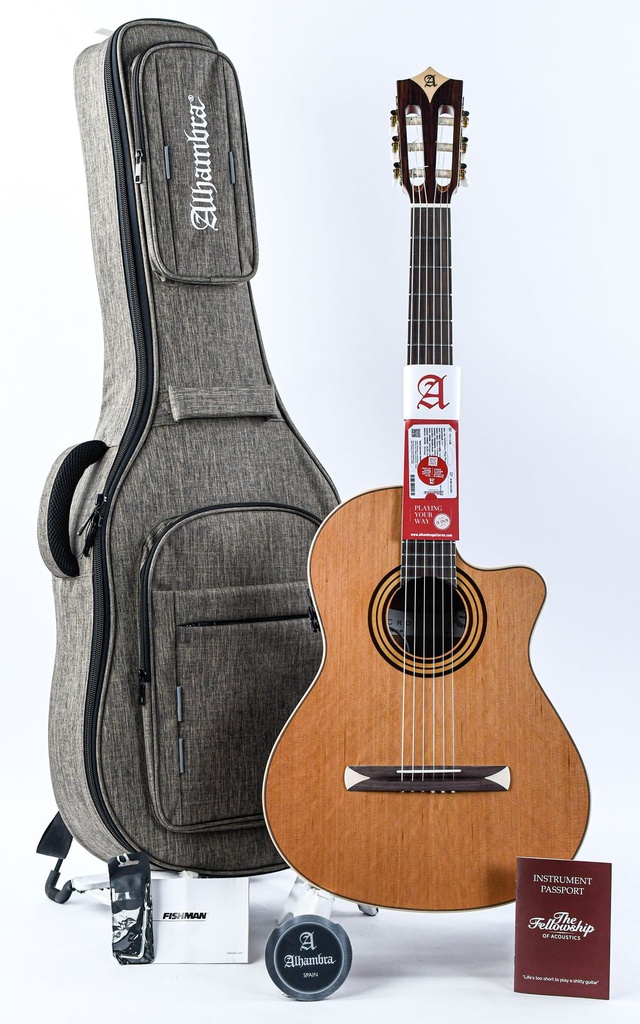 Alhambra CS-1 CW E8-1.jpg