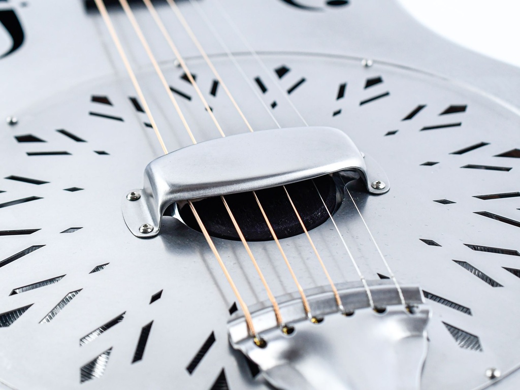 [I-RAW12S] National Raw Series 12 Fret Steel-11.jpg