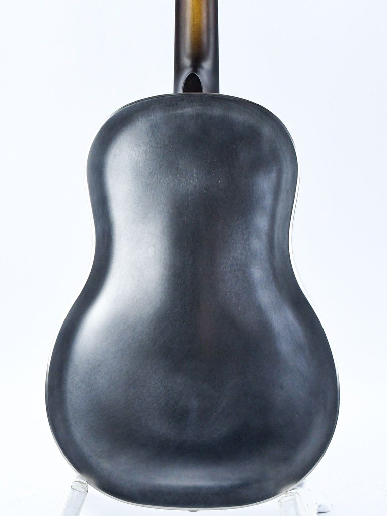 [I-RAW12S] National Raw Series 12 Fret Steel-6.jpg