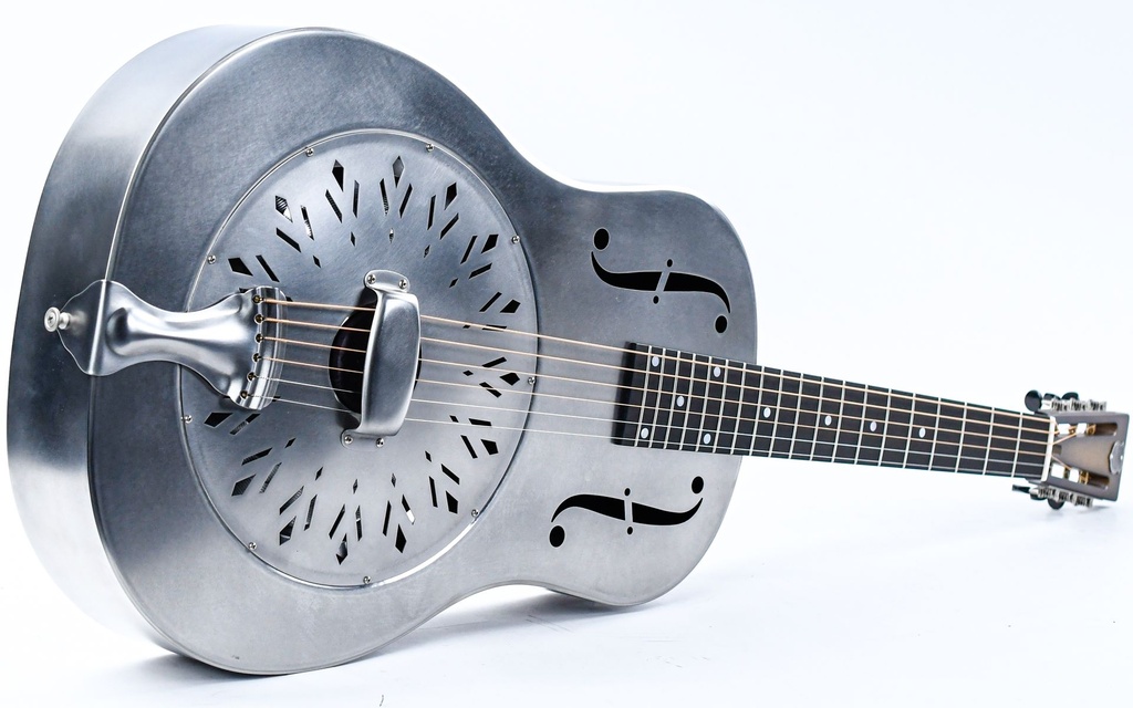 [I-RAW12S] National Raw Series 12 Fret Steel-12.jpg