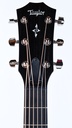 Taylor 412ce-R Tobacco Sunburst-4.jpg
