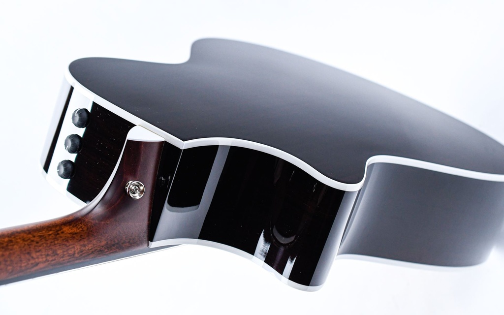 Taylor 412ce-R Tobacco Sunburst-9.jpg