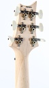 PRS Swamp Ash Special Black Doghair Smokeburst Maple-5.jpg