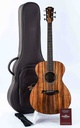[E097501018106991000] Taylor Jacob Collier Signature Model 5 String-1.jpg