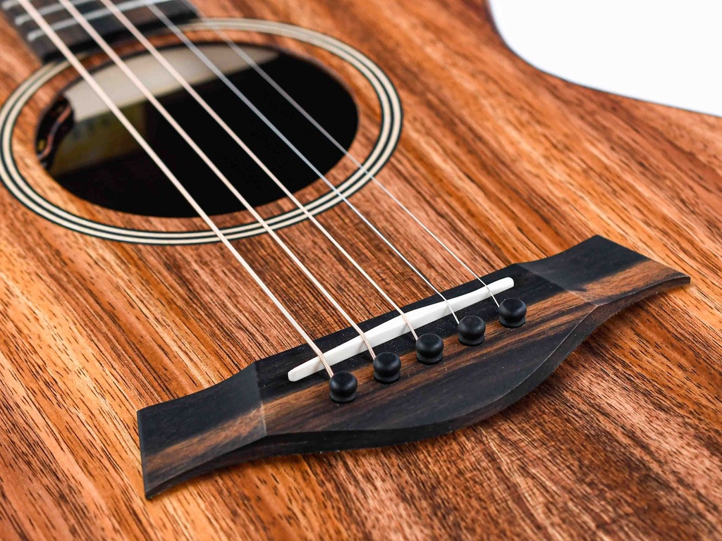 [E097501018106991000] Taylor Jacob Collier Signature Model 5 String-10.jpg