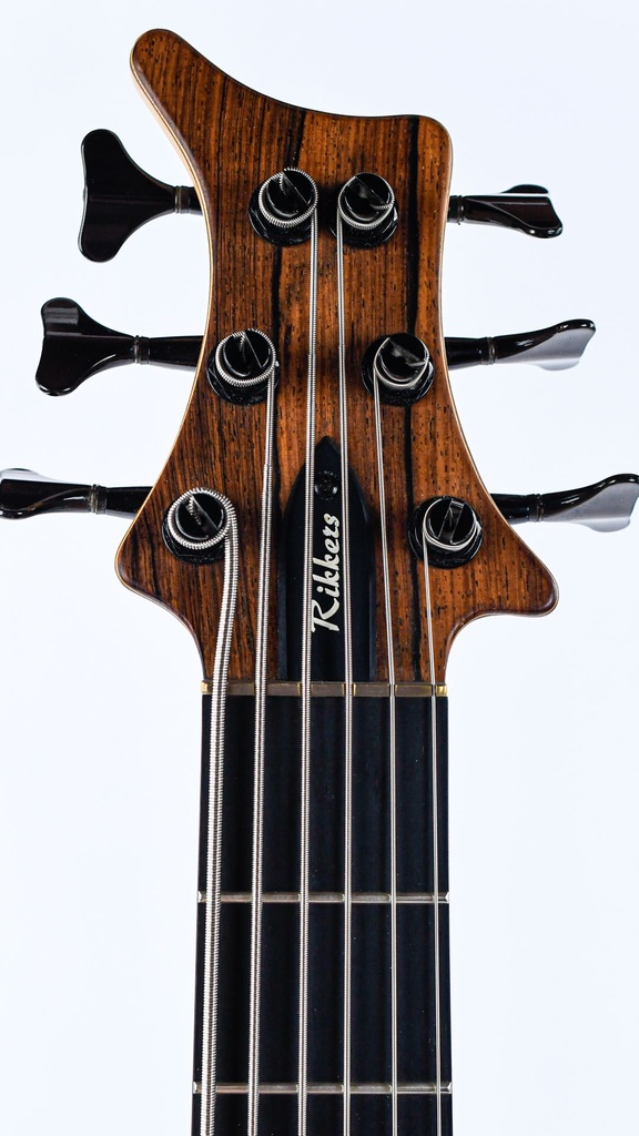 Rikkers Bodyline 6 string bass recent-4.jpg