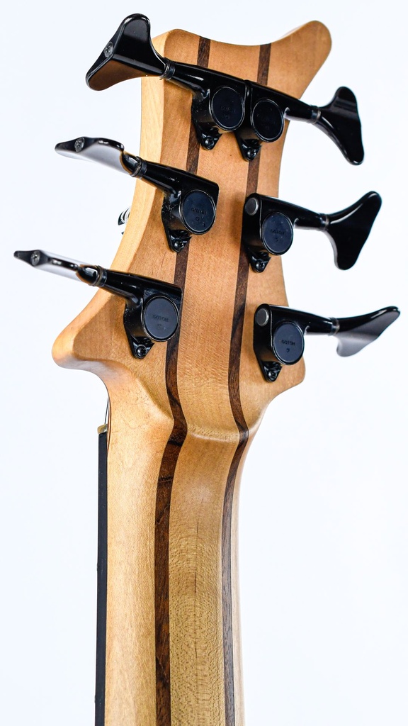 Rikkers Bodyline 6 string bass recent-5.jpg