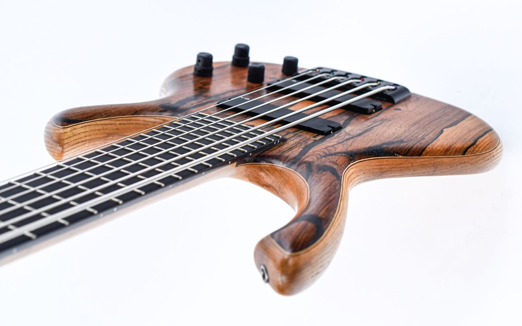 Rikkers Bodyline 6 string bass recent-8.jpg