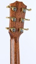 [A804002611003010527] Taylor 814ce Builders Edition Honduran Rosewood Adirondack Shaded Edge Burst-5.jpg