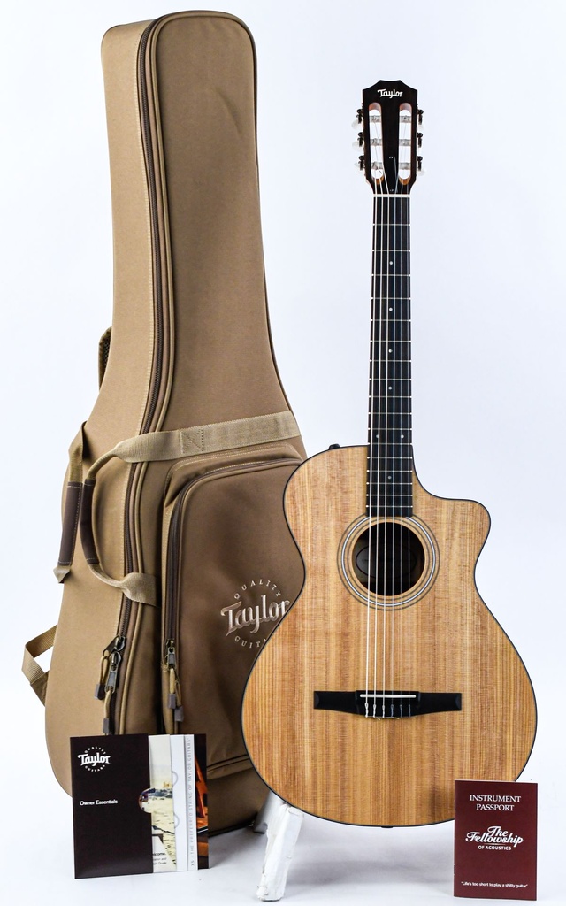 [C104026103807931000] Taylor 112ce-N Nylon-1.jpg