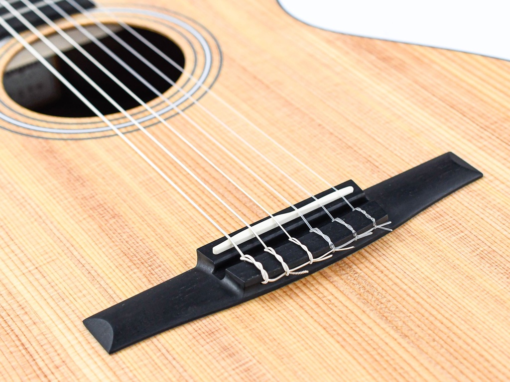 [C104026103807931000] Taylor 112ce-N Nylon-10.jpg