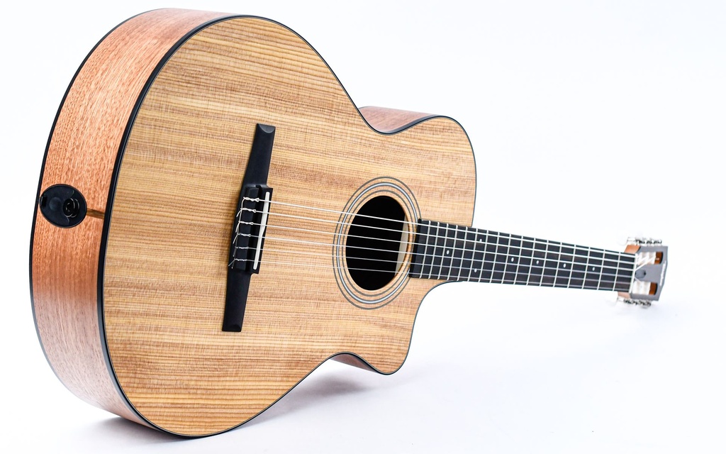 [C104026103807931000] Taylor 112ce-N Nylon-11.jpg