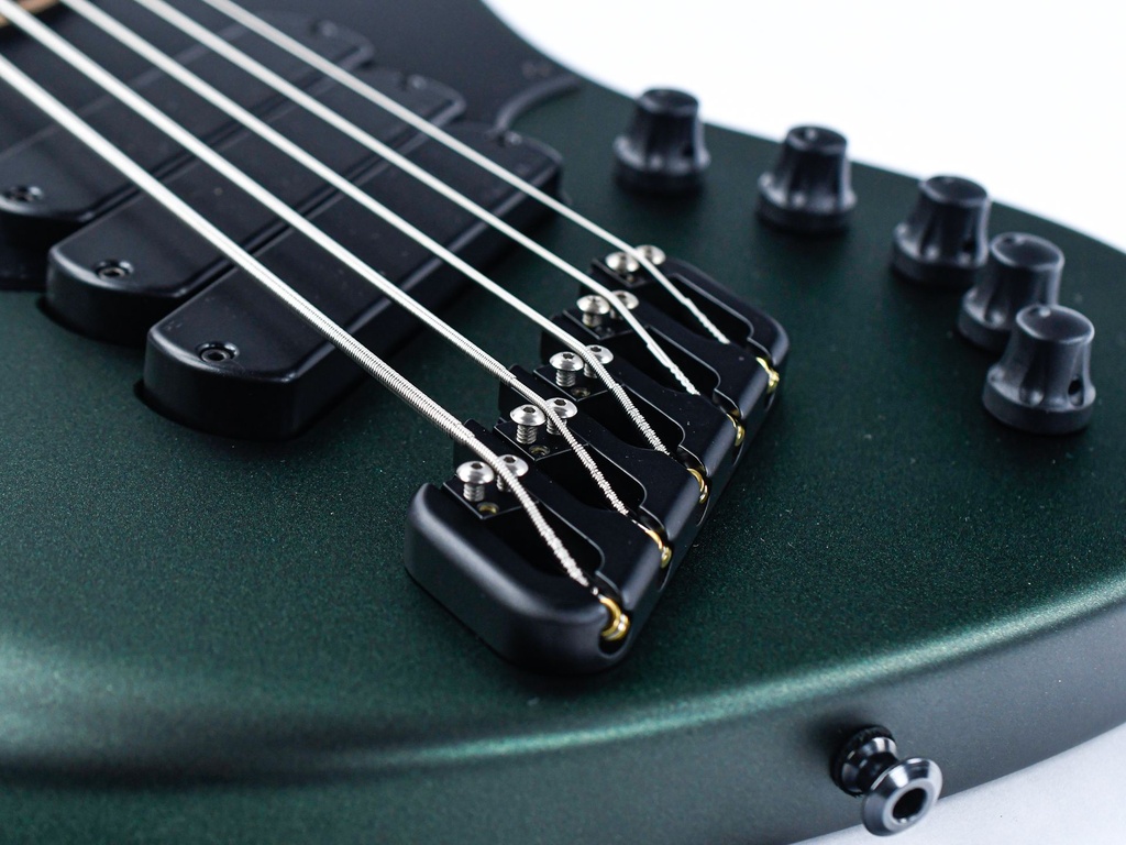 Dingwall Super J, 5-string, 3 pickups-10.jpg