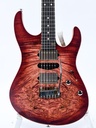 Suhr Modern Custom-4.jpg
