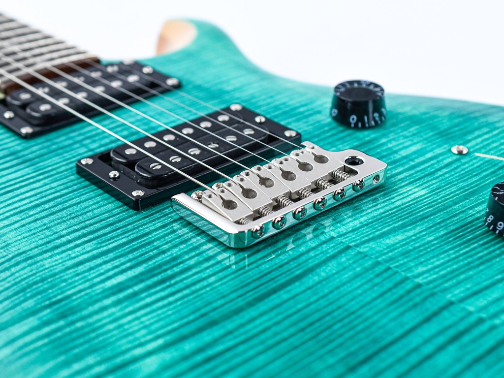 PRS SE Custom Turquoise-10.jpg