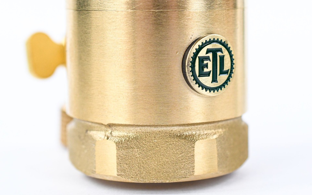 Ear Trumpet Wanda-6.jpg