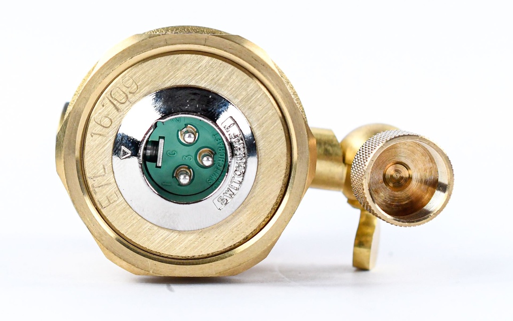 Ear Trumpet Wanda-9.jpg