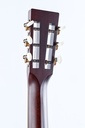 Santa Cruz 00 Eric Skye Cocobolo Adirondack-5.jpg
