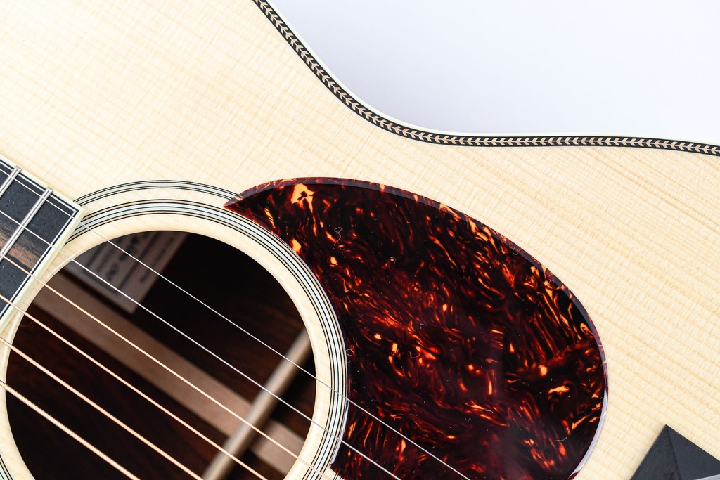 Santa Cruz 00 Eric Skye Cocobolo Adirondack-13.jpg