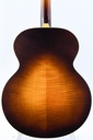 Iris ND200 Flamed Maple Relic-6.jpg