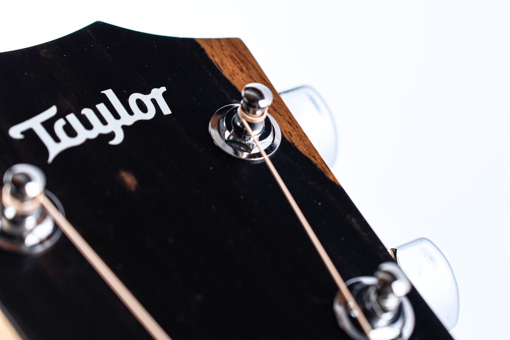 Taylor 214ce-14.jpg