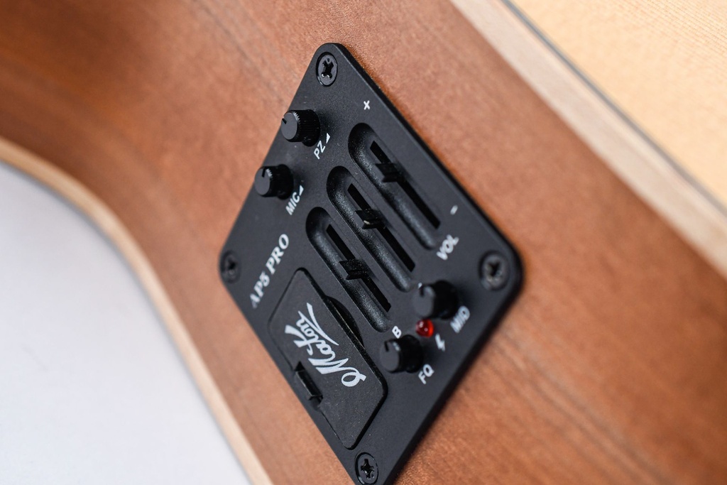 Maton EBG808C Joe Robinson 2021-16.jpg