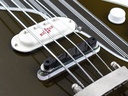 Gun Neptune Bass-11.jpg