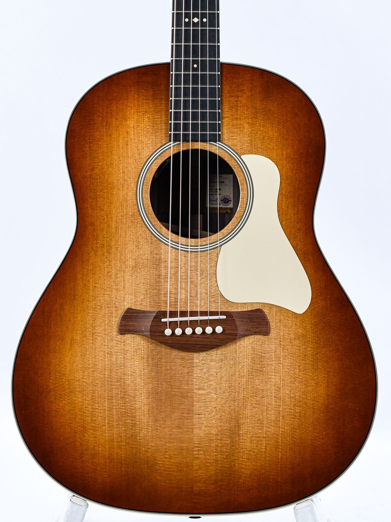 Taylor Gold Label 717e Rosewood Sunburst Cream Pickguard-3.jpg