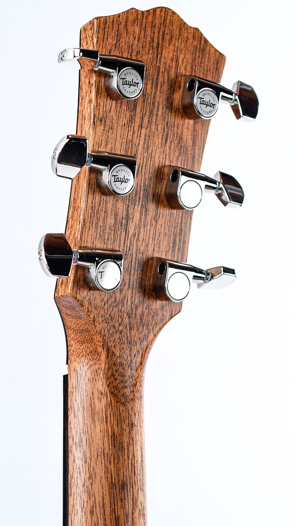 Taylor Gold Label 517e Mahogany Blacktop-5.jpg