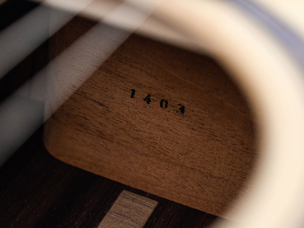 McIlroy A57 Katalox Adirondack-14.jpg