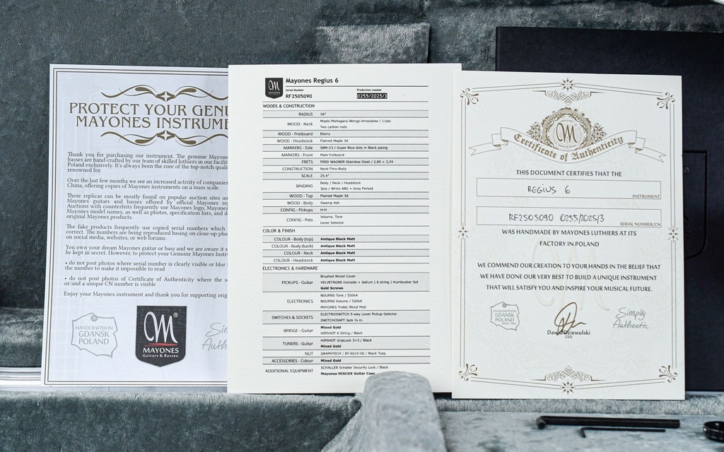 Mayones Regius 6 Matte Black-2.jpg