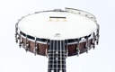 Deering Vega Old Time Wonder 12'' Banjo-14.jpg