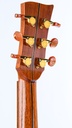 McIlroy A56 Cocobolo Moon Spruce 2014-6.jpg