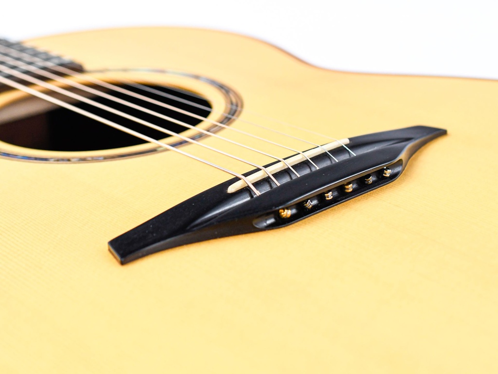 McIlroy A56 Cocobolo Moon Spruce 2014-11.jpg