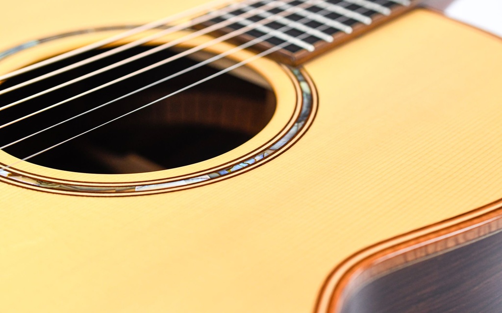 McIlroy A56 Cocobolo Moon Spruce 2014-14.jpg