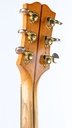 Guild F50 Navarre Blonde 1964-5.jpg