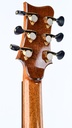 Greenfield G2 Honduras Rosewood Sitka-6.jpg