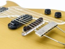 Gun Guitars Neptune Bass VI Gold-10.jpg