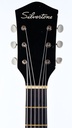 Silvertone 1369L 'Thin Twin' 50s-4.jpg
