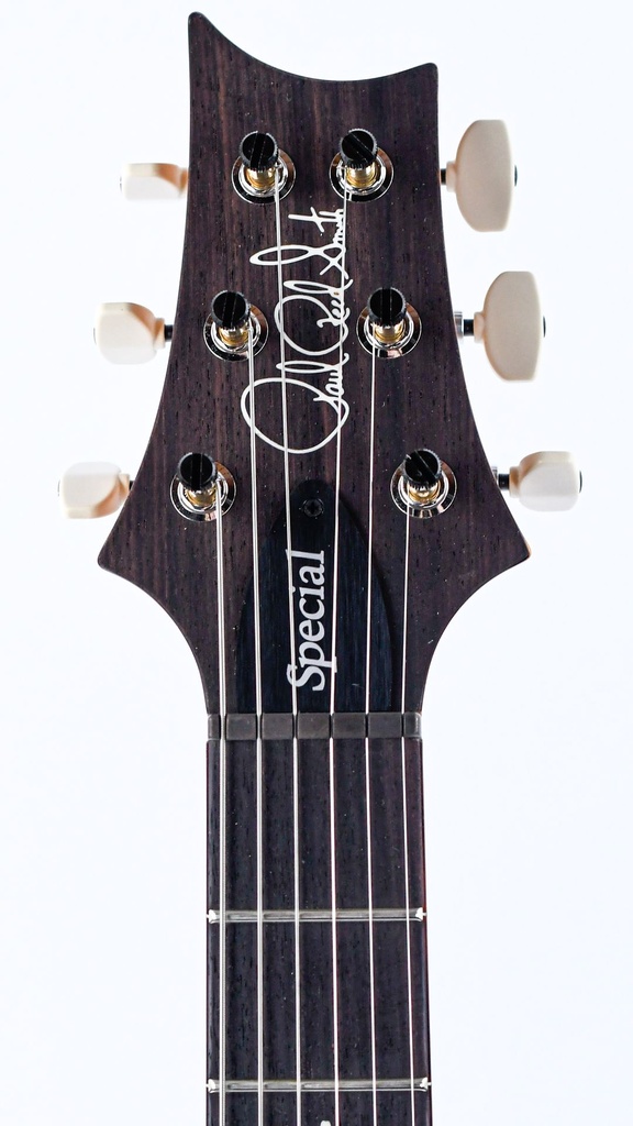 PRS Special 22 Semi Hollow Yellow Tiger-4.jpg