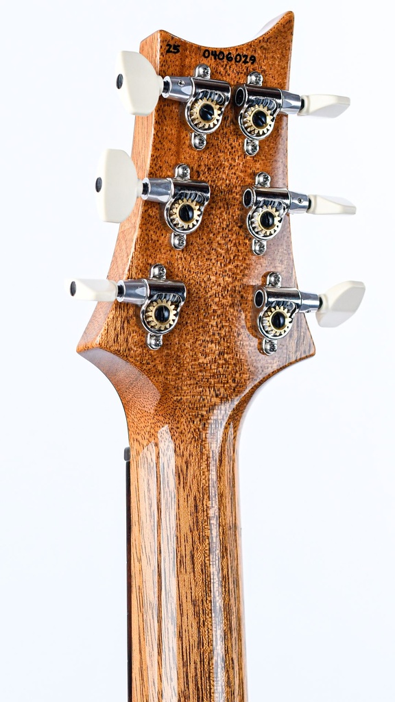 PRS Special 22 Semi Hollow Yellow Tiger-5.jpg