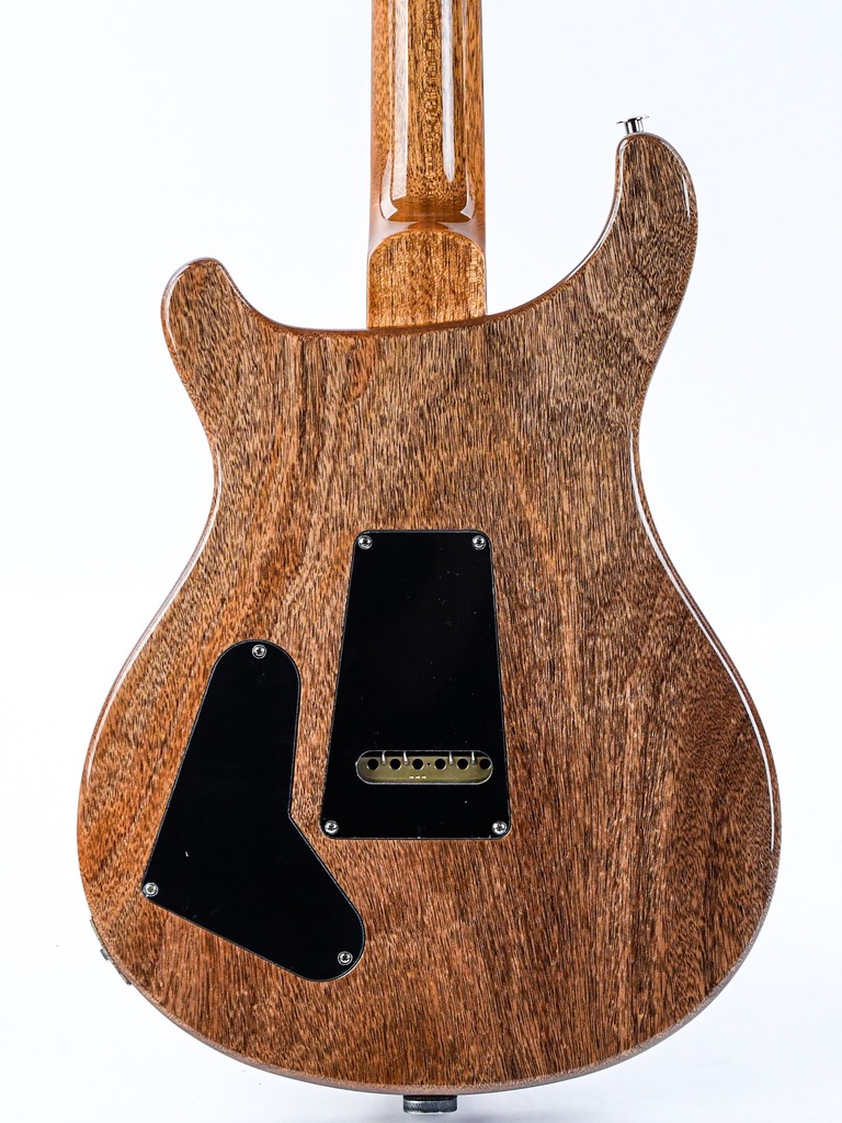 PRS Special 22 Semi Hollow Yellow Tiger-6.jpg