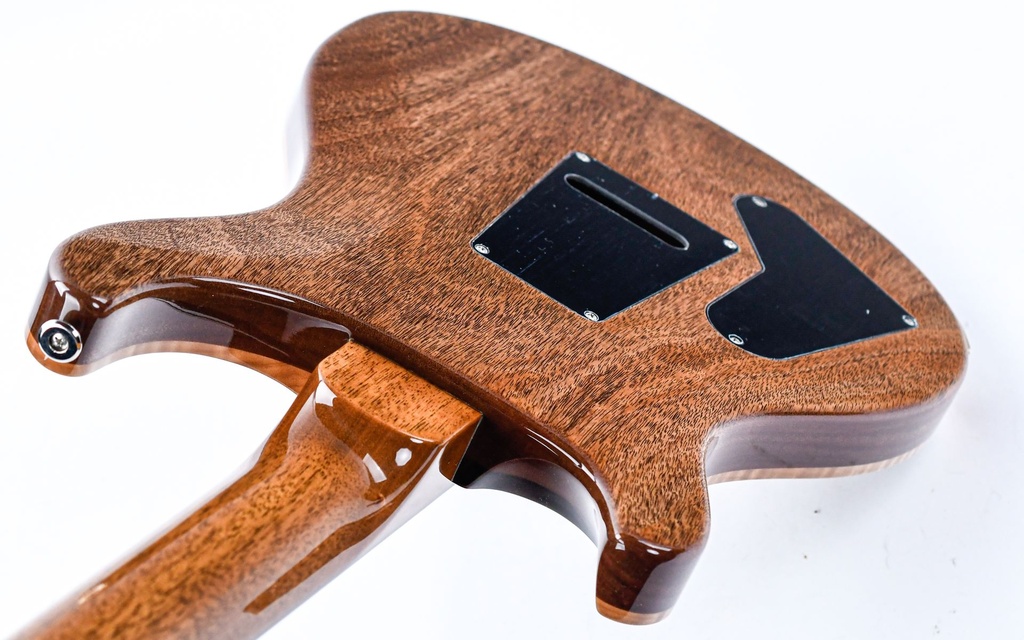 PRS Special 22 Semi Hollow Yellow Tiger-9.jpg