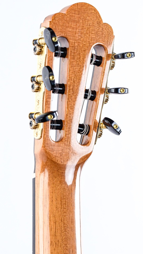 Manuel Adalid Torres--5.jpg