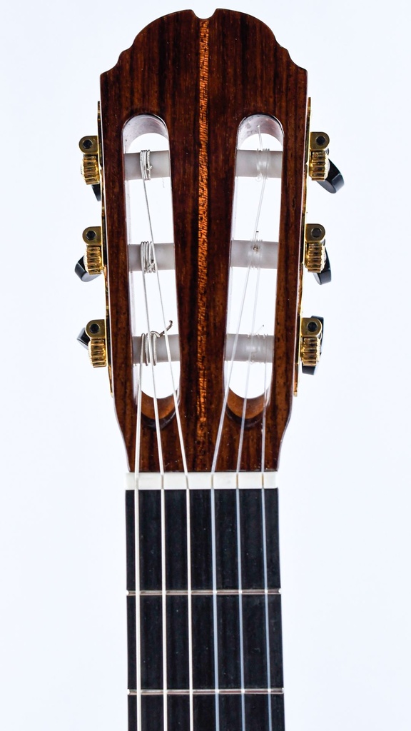 Mach Concert Standard Spruce Rosewood-5.jpg