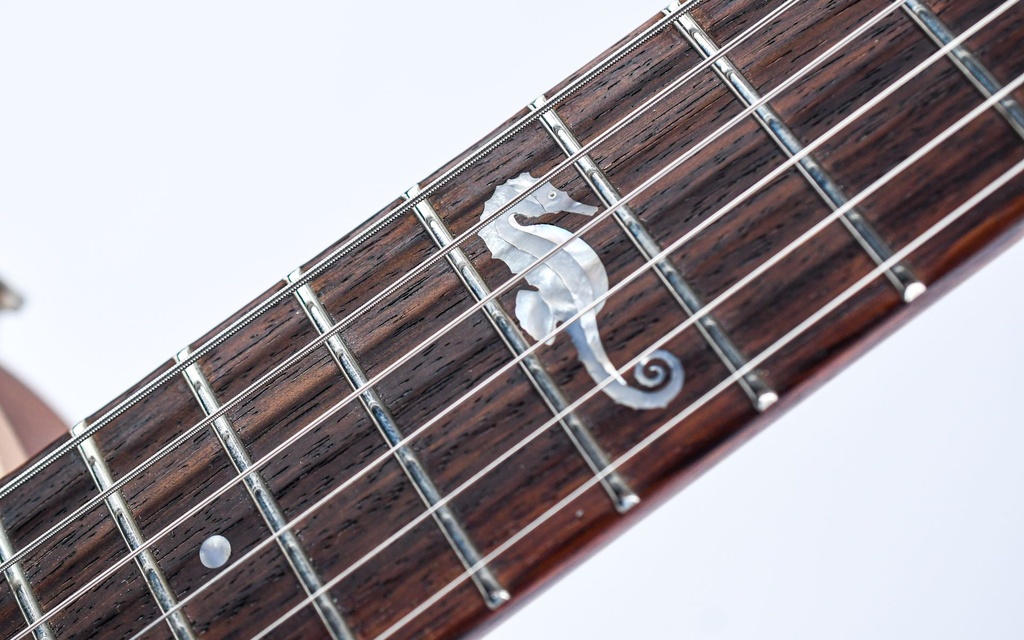 Nik Huber Orca The Seahorse Ltd. Series II #13-16 Gold Top 2023-6.jpg