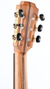 Lowden S25J Jazz Nylon Crossover #28821-6.jpg