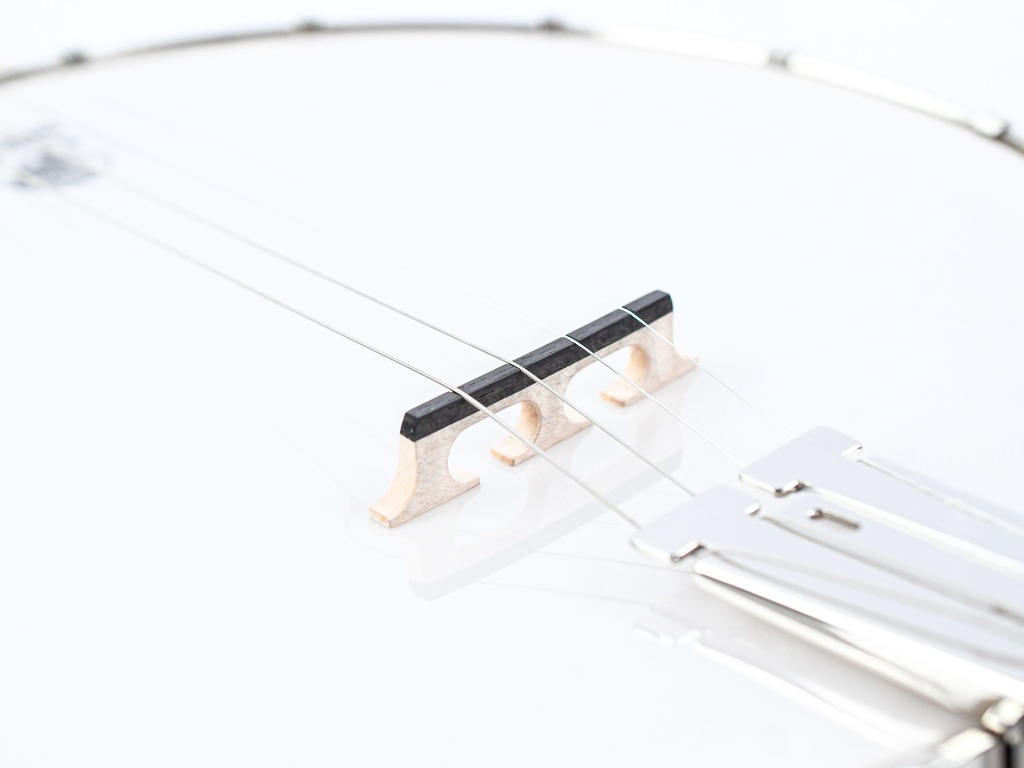 Deering Goodtime 19-Fret Tenor Banjo-10.jpg